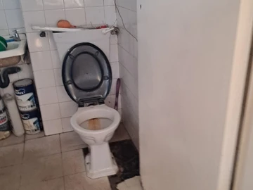 Flat & Apartment