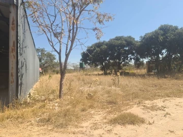 Farm & Agricultural Land