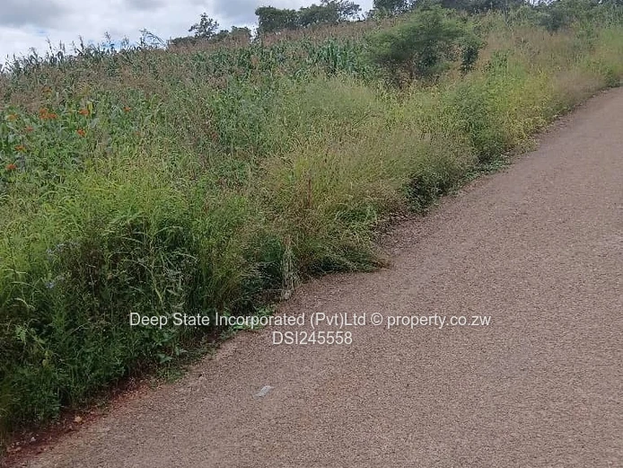 Chishawa Hills stand for sale 