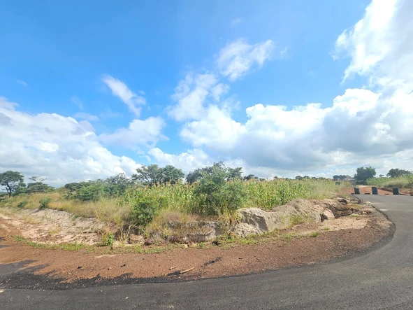 Stands & Residential Land