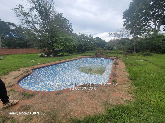 A Halley 's Comet equivalent! 