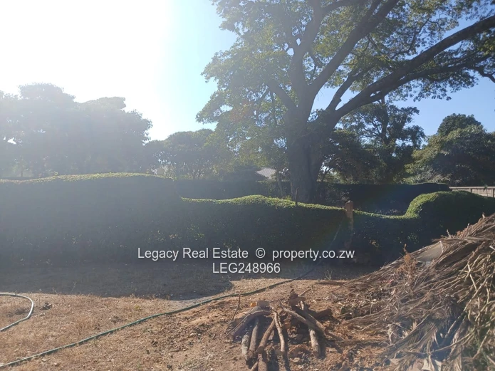 Investment-Ready Subdivision Stand With Approved Paperwork