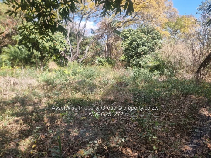 2100m² Tree-lined Commercial Plot in Avondale — Services