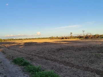 Farm & Agricultural Land