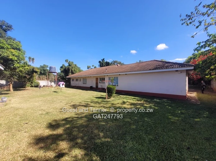 New Marlborough Neat and Spacious Family Home - 4 Bedrooms to Rent