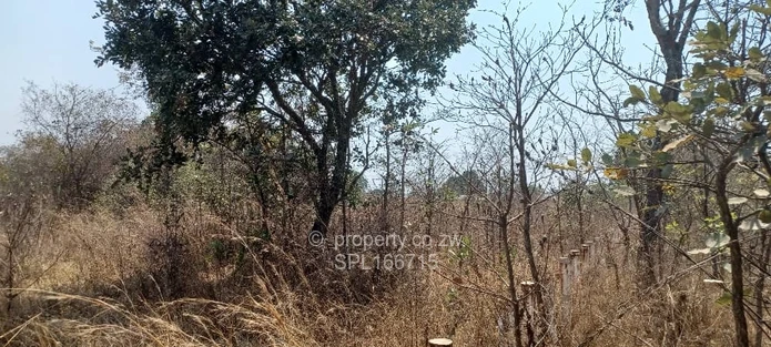 5.2 hectares Farmland. (Sole Mandate)