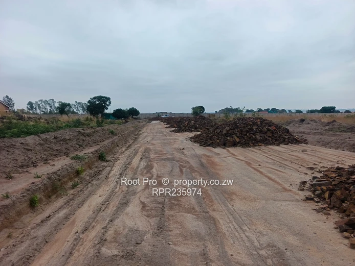 Rainfall Stand for Sale