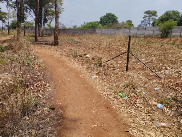 Commercial & Industrial Land