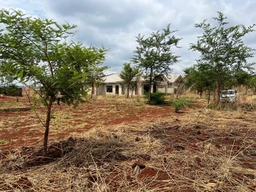 Stands & Residential Land