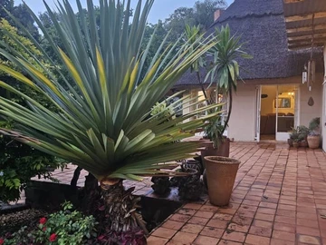 Farm & Agricultural Land