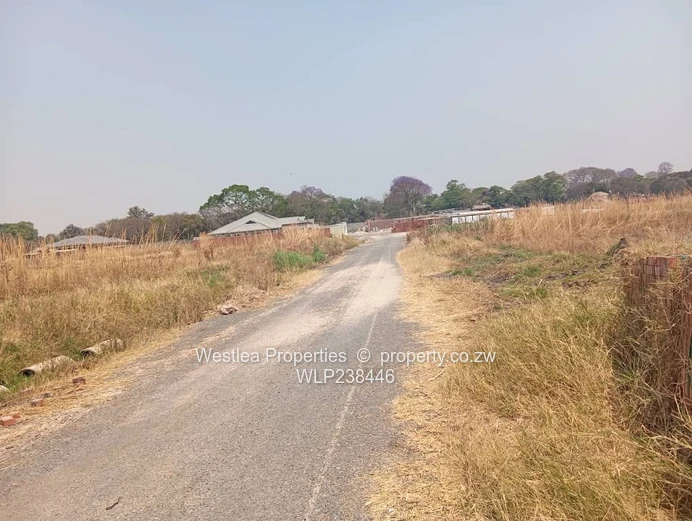 An opportunity not to miss