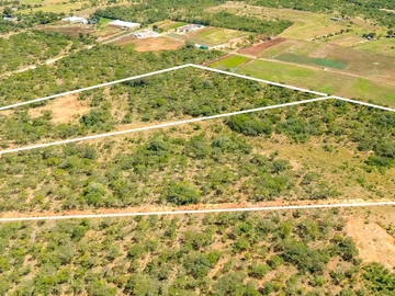 Farm & Agricultural Land