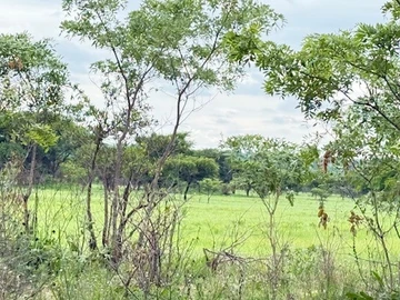 Farm & Agricultural Land