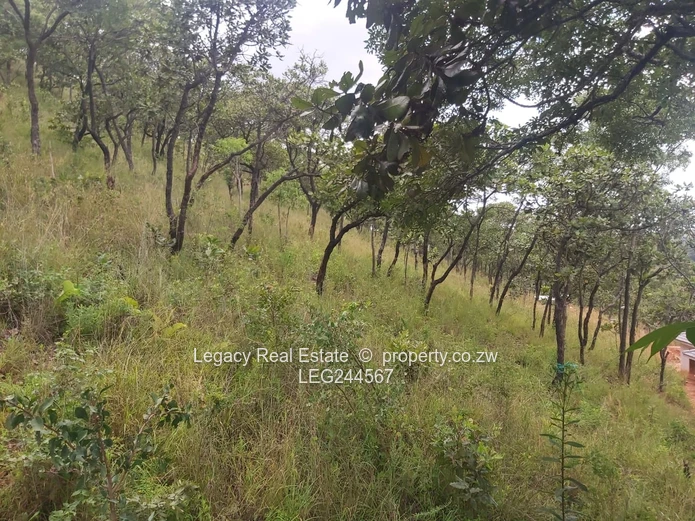 Exclusive Development Stand In Secure Gated Community