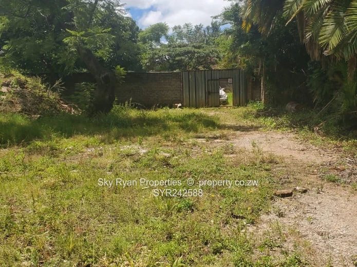 Avondale Stand For Sale