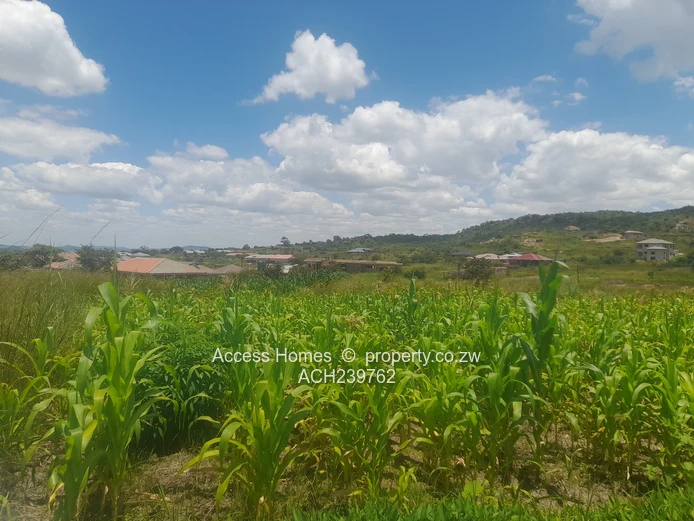 Crowhill Views  (Sole Mandate)