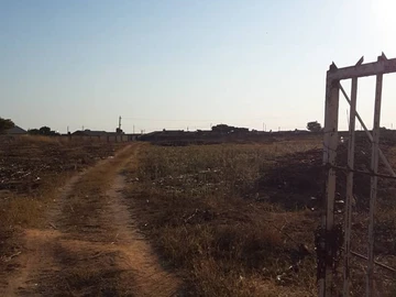 Farm & Agricultural Land