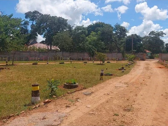 Stands & Residential Land