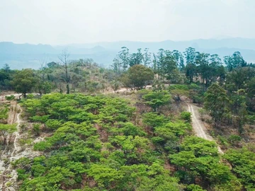 Land