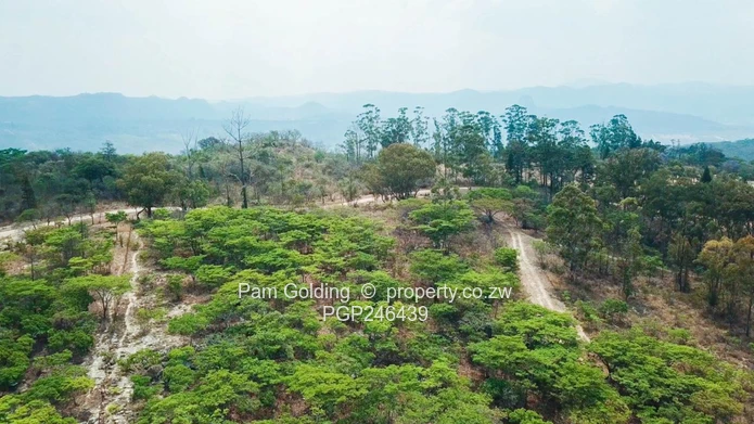Stands In Nyanga At Nyamazi River For Sale