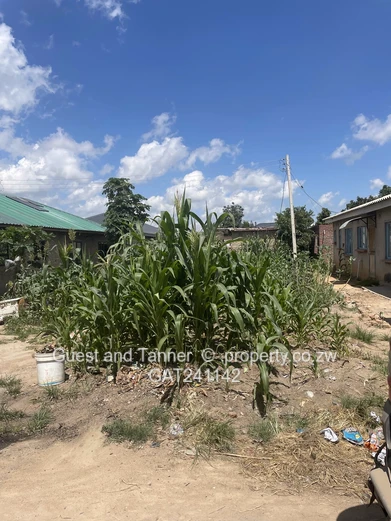 Stand For Sale – Southlea Park