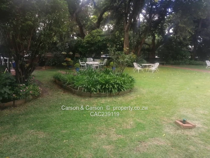 Immediately Available