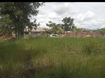 Arlington estate stand for sale 