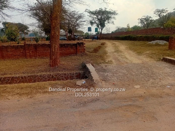 2000m² Carrick Creagh Stand — Main Road Frontage, Tarred Access