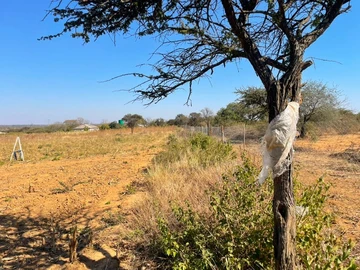Farm & Agricultural Land