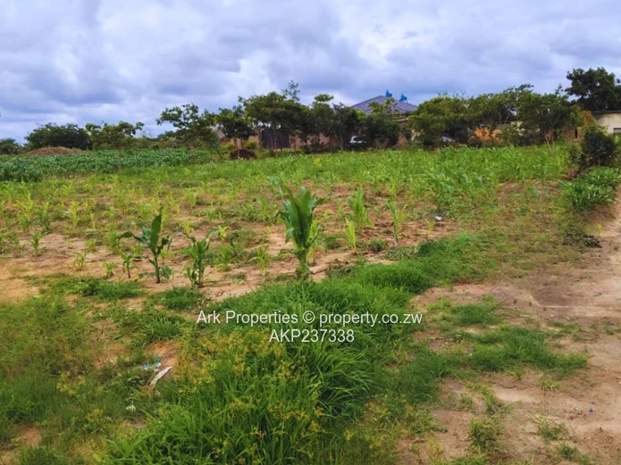 Stand for Sale in Elizabeth Park