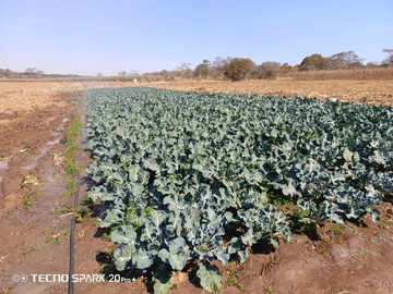 Farm & Agricultural Land