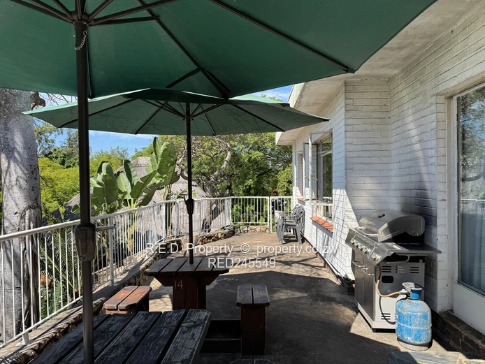 Business and Executive