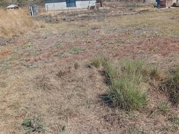 Land