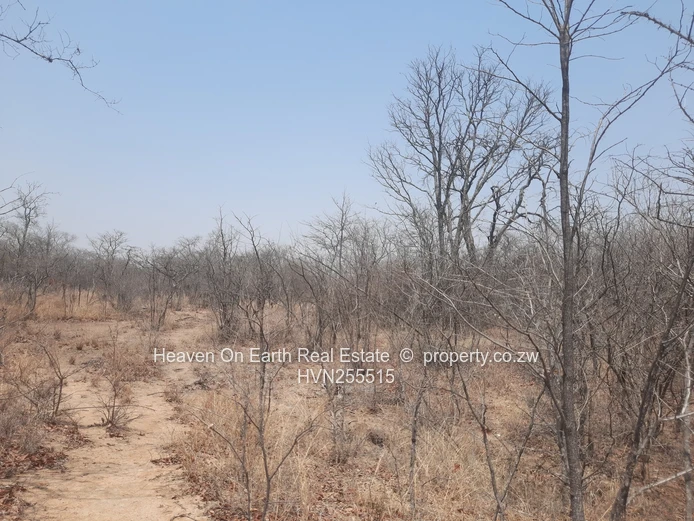 Plots For Sale