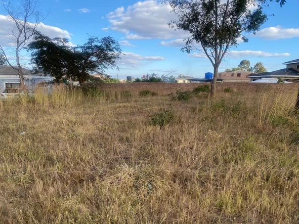 Stands & Residential Land