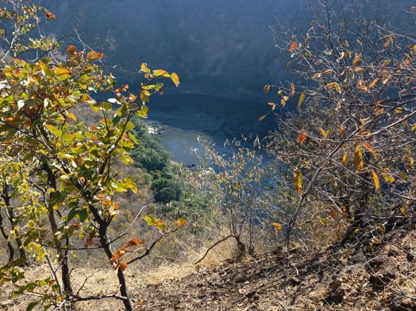 Commercial & Industrial Land