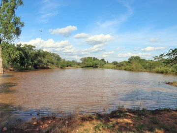 Farm & Agricultural Land