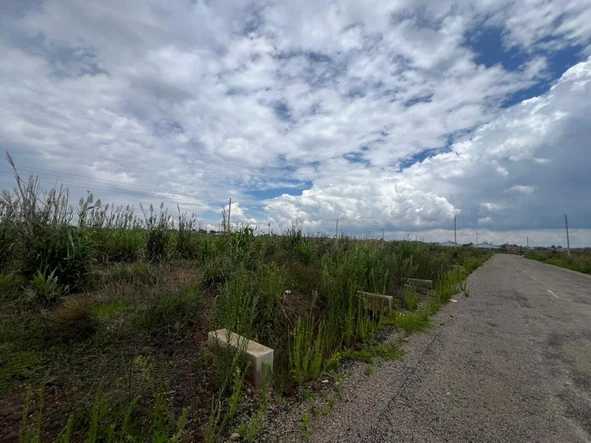 Stands & Residential Land