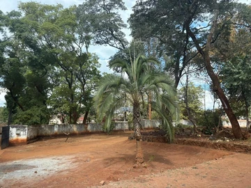 Commercial Property
