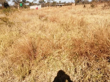 Farm & Agricultural Land