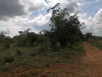 Agro-Residential Plot For Sale In Nature's Garden Glenforest
