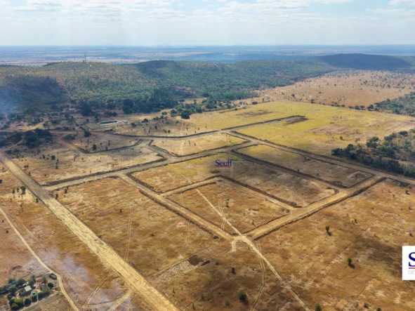 Stands & Residential Land