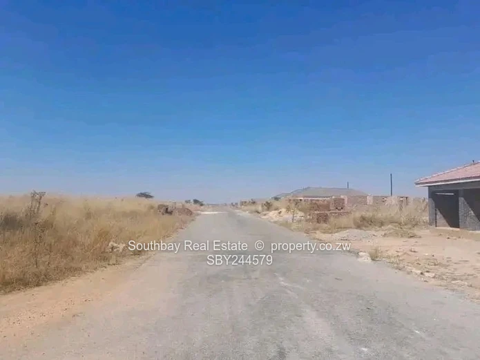 Investment Opportunity