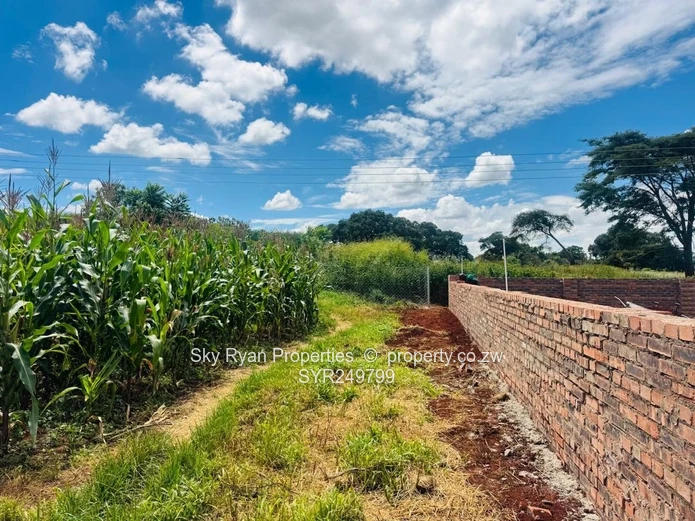 Westgate, Bluffhill Stand For Sale