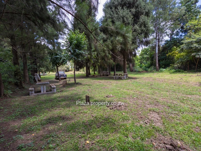 Property With Kirkman Rd Frontage!