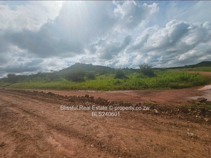 Stands for sale in Doornfontein 