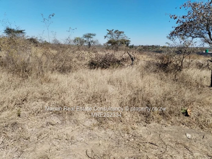 Douglasdale Stand For Sale