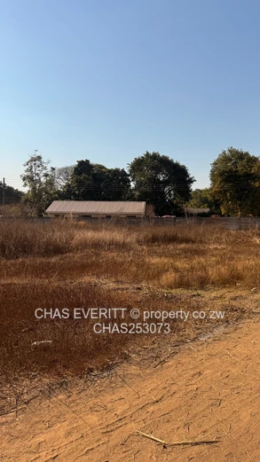 Stand for sale old mt pleasant off Norfolk road 