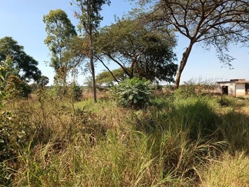 Commercial & Industrial Land