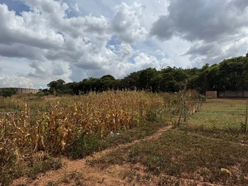 Commercial & Industrial Land